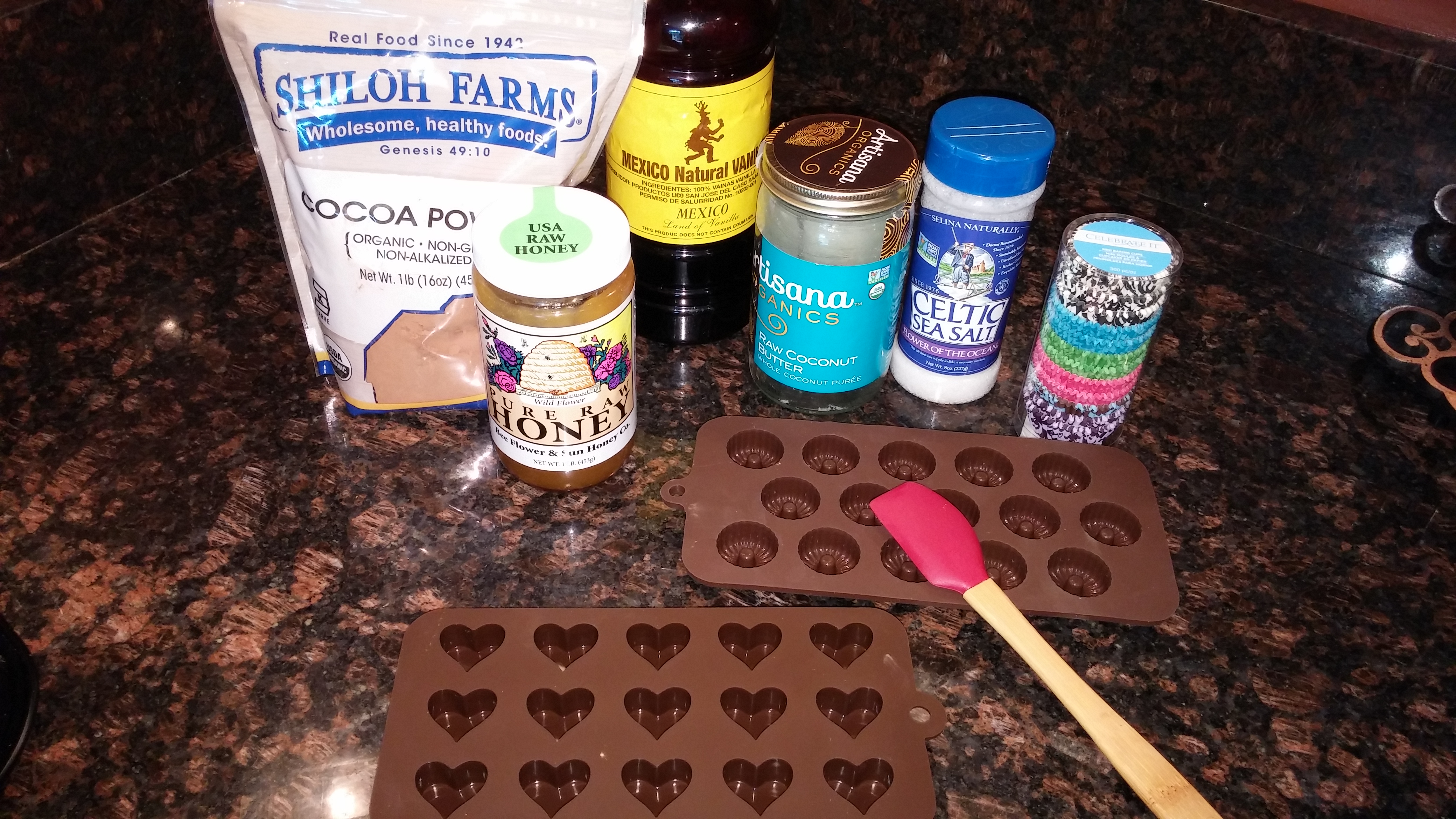 Ingredients for Coconut Cocoa Fudge Bites