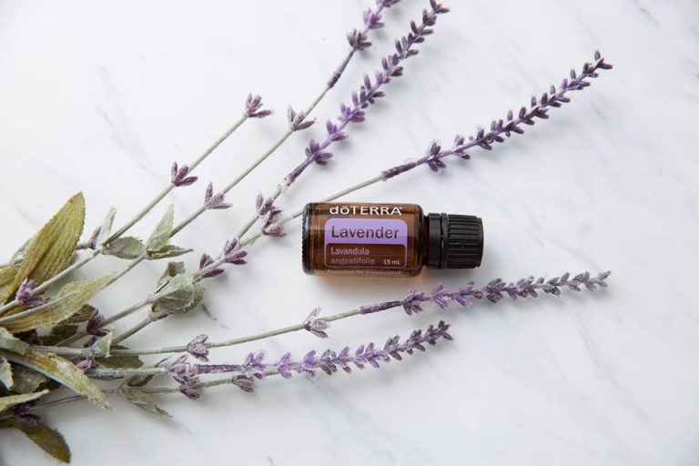 12 Uses for Lavender Essential Oil Margarete Hyer The Essential