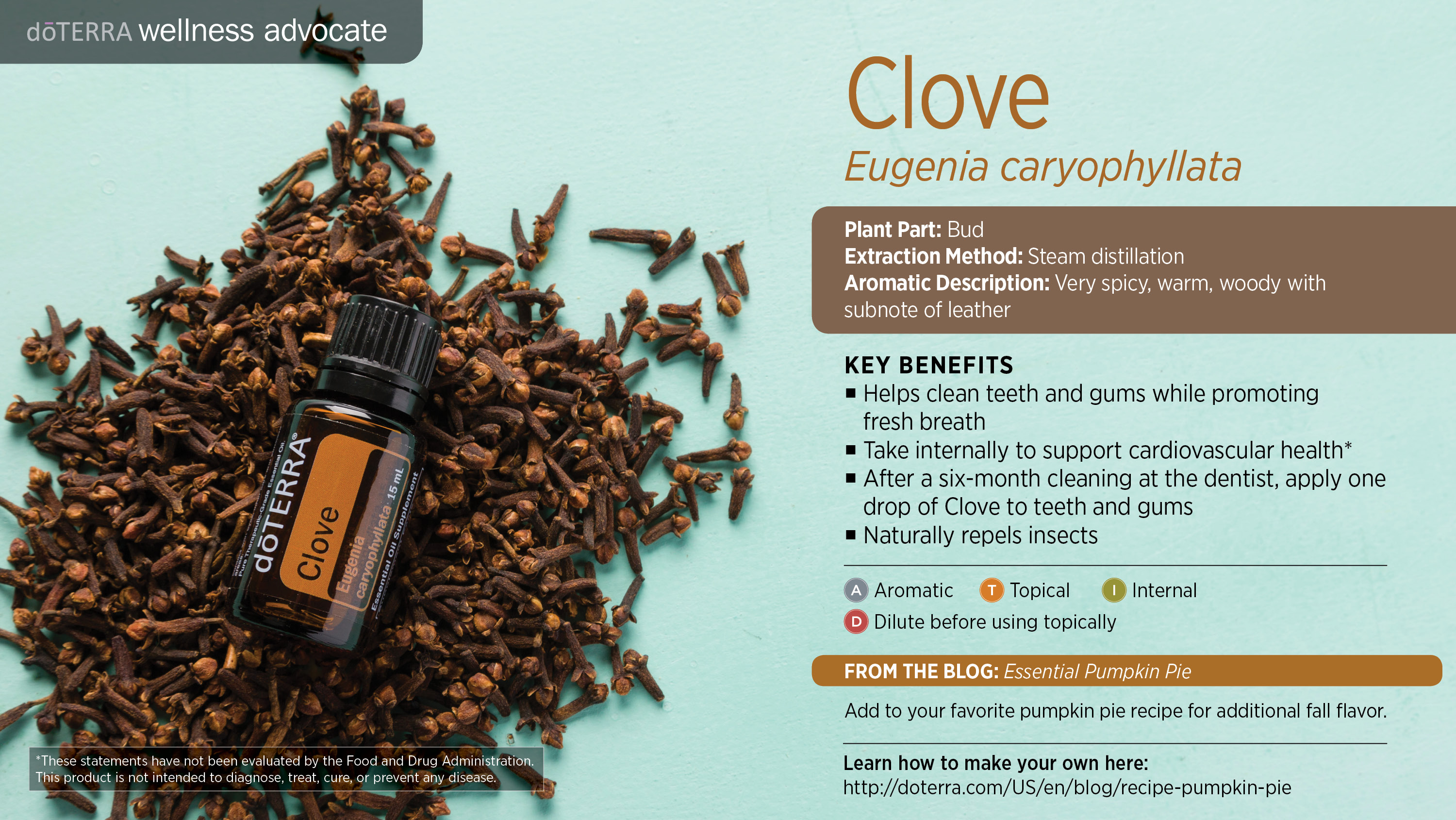 Clove Key Benefits