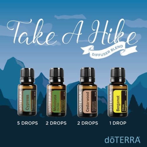 Take a Hike Diffuser Blend: 5 drops Cypress, 2 drops Melaleuca, 2 drops Cedarwood, 1 drop Bergamot