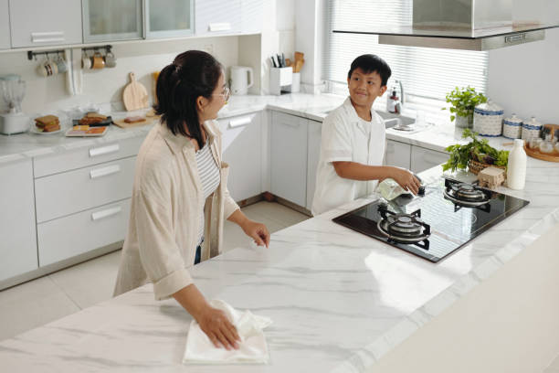 Mother and son are cleaning the kitchen together, wiping down countertops and maintaining a pristine space. Bright natural light illuminates their modern, tidy environment